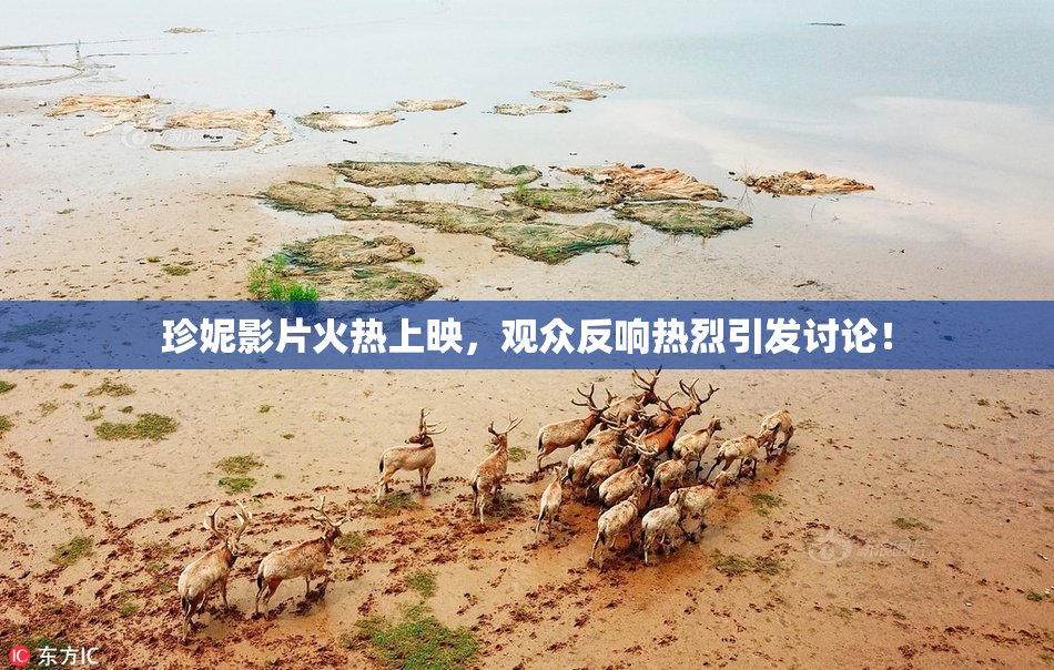 珍妮影片火热上映，观众反响热烈引发讨论！