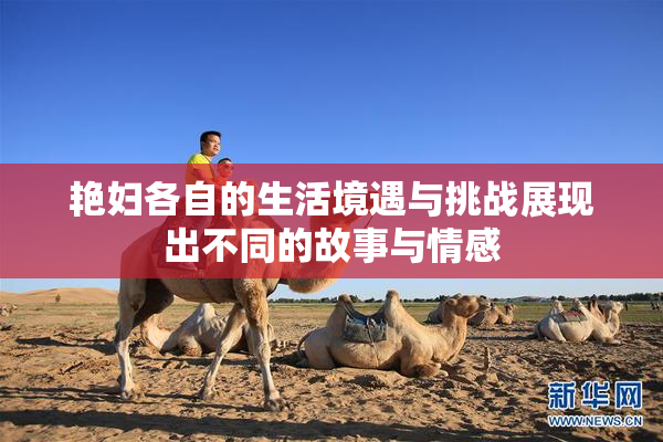 艳妇各自的生活境遇与挑战展现出不同的故事与情感
