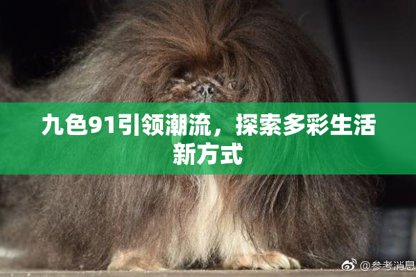 九色91引领潮流，探索多彩生活新方式