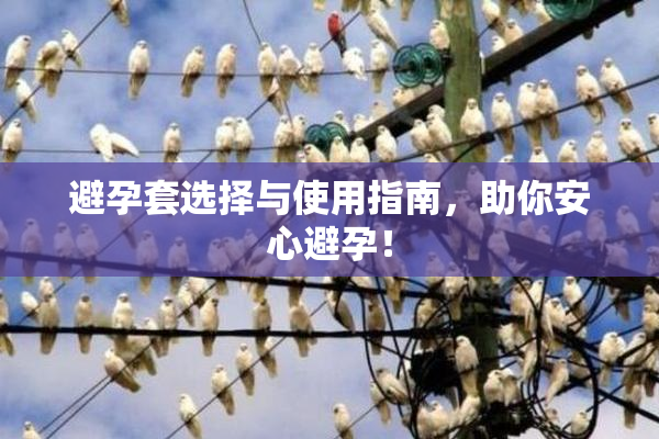 避孕套选择与使用指南，助你安心避孕！