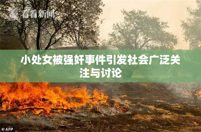 小处女被强奸事件引发社会广泛关注与讨论