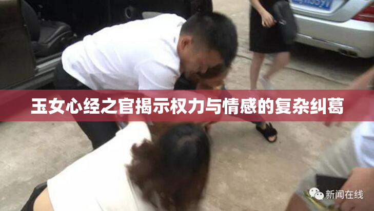 玉女心经之官揭示权力与情感的复杂纠葛