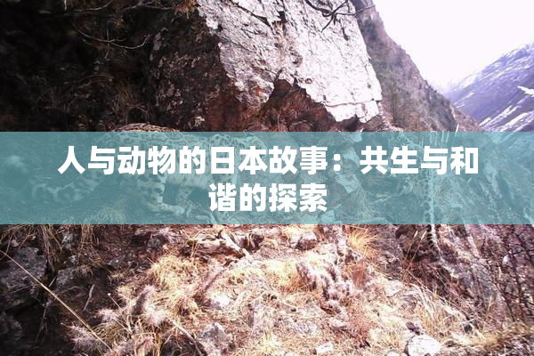 人与动物的日本故事：共生与和谐的探索