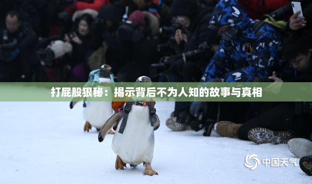 打屁股狠秘：揭示背后不为人知的故事与真相