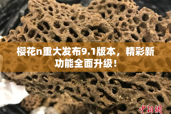樱花n重大发布9.1版本，精彩新功能全面升级！