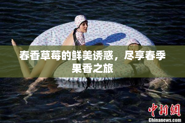 春香草莓的鲜美诱惑，尽享春季果香之旅