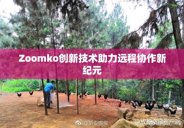 Zoomko创新技术助力远程协作新纪元