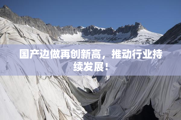 国产边做再创新高，推动行业持续发展！
