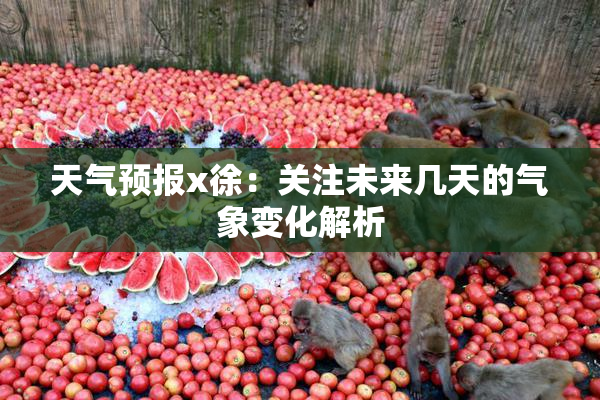 天气预报x徐：关注未来几天的气象变化解析