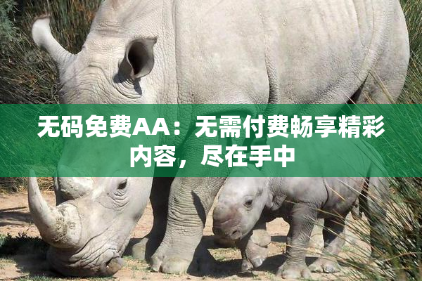 无码免费AA：无需付费畅享精彩内容，尽在手中