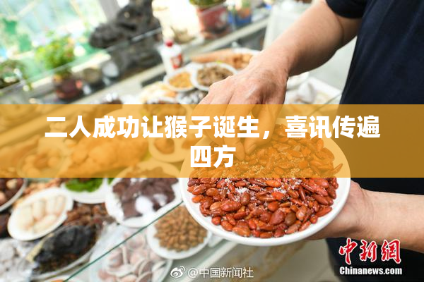 二人成功让猴子诞生，喜讯传遍四方