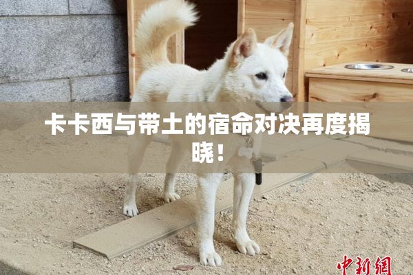 卡卡西与带土的宿命对决再度揭晓！