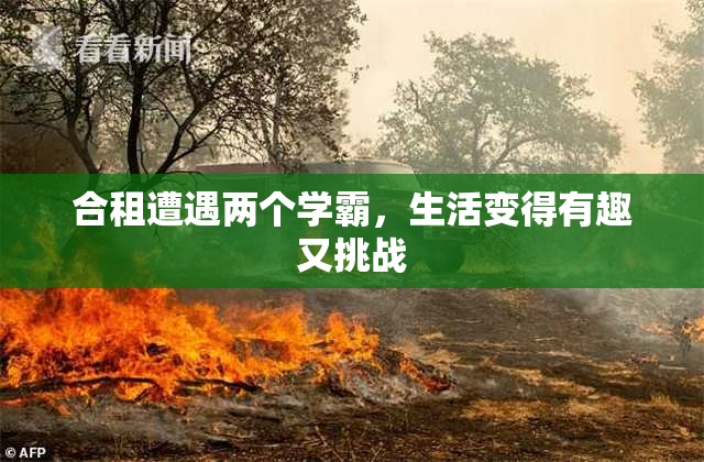 合租遭遇两个学霸，生活变得有趣又挑战