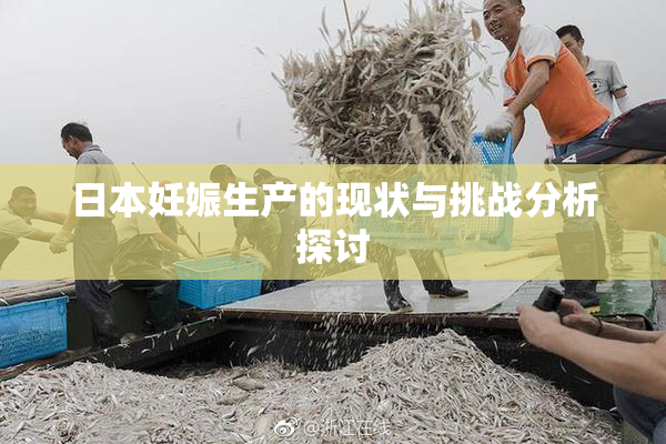 日本妊娠生产的现状与挑战分析探讨