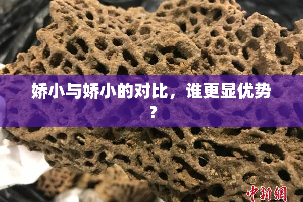 娇小与娇小的对比，谁更显优势？