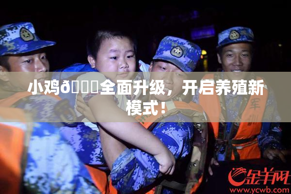 小鸡🐔全面升级，开启养殖新模式！