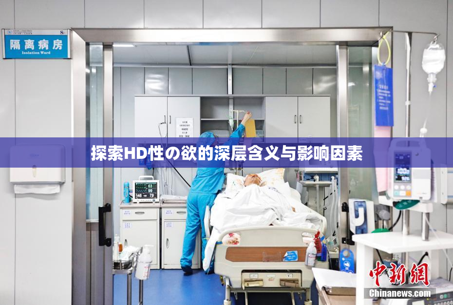 探索HD性の欲的深层含义与影响因素