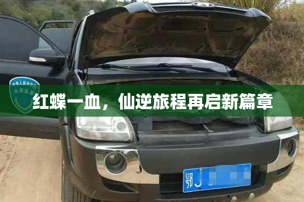 红蝶一血，仙逆旅程再启新篇章
