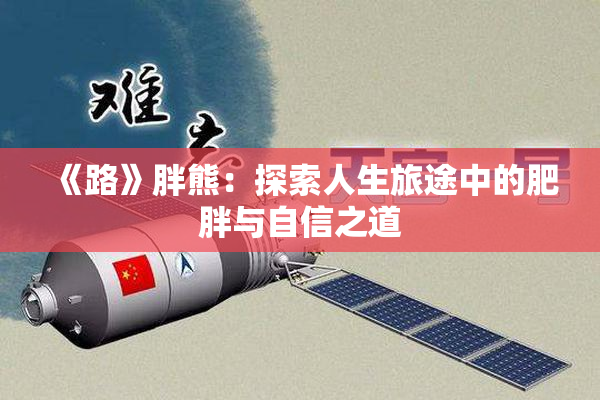 《路》胖熊：探索人生旅途中的肥胖与自信之道