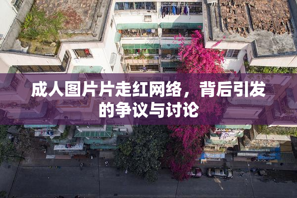 成人图片片走红网络，背后引发的争议与讨论