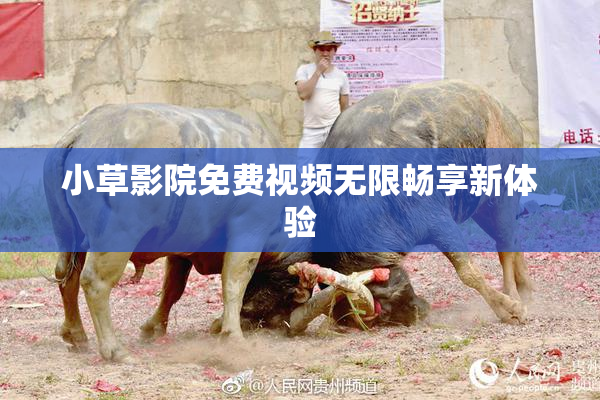 小草影院免费视频无限畅享新体验