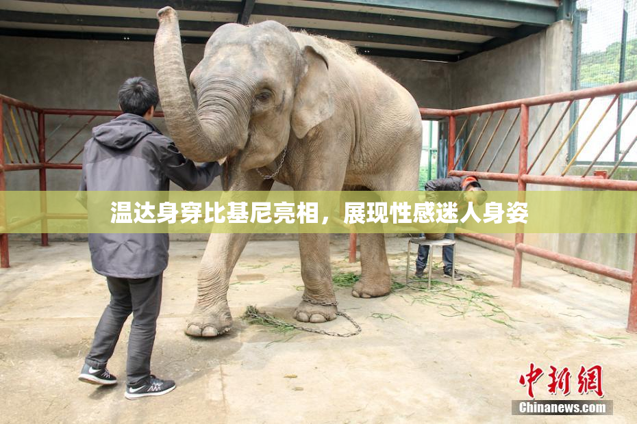 温达身穿比基尼亮相，展现性感迷人身姿
