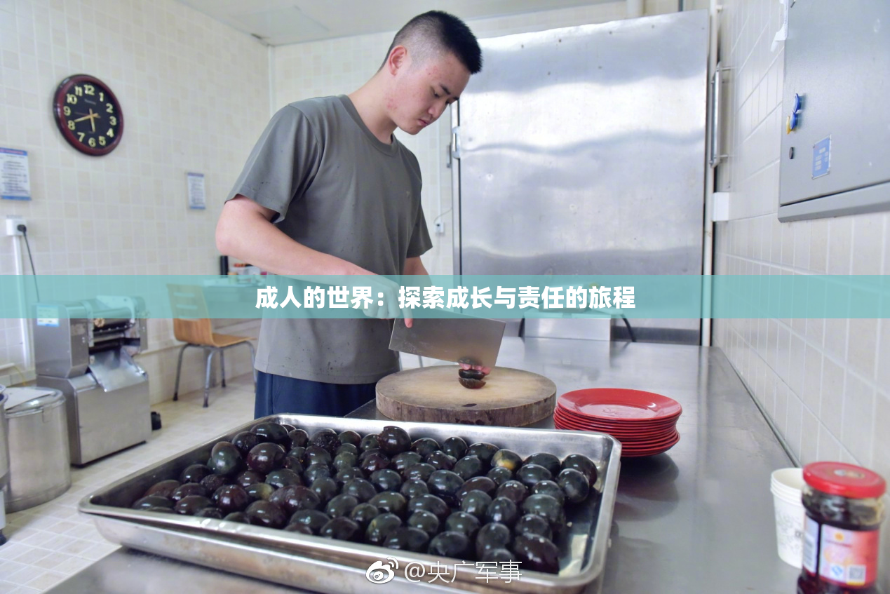 成人的世界：探索成长与责任的旅程