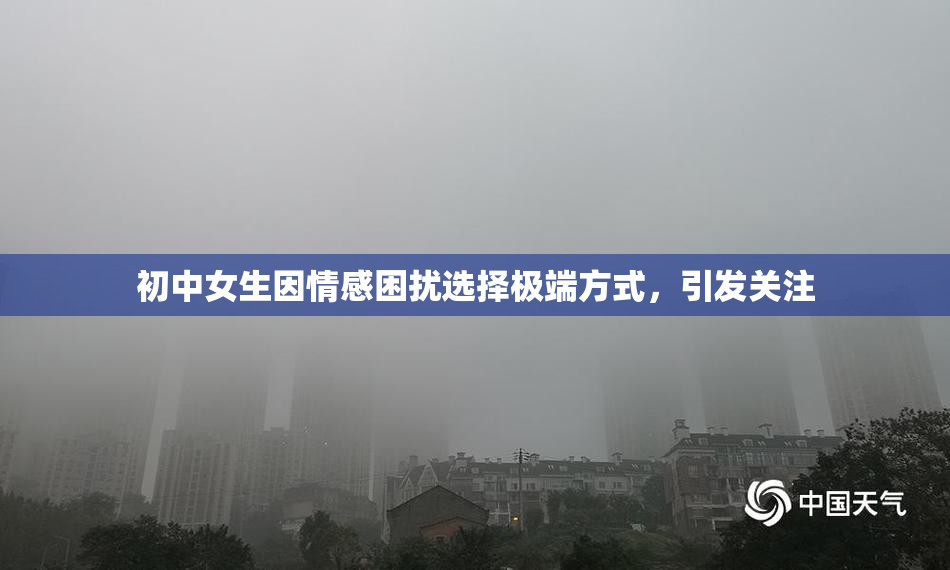 初中女生因情感困扰选择极端方式，引发关注