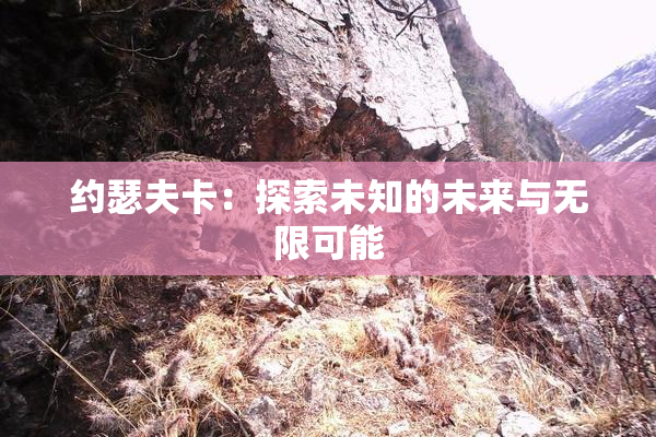 约瑟夫卡：探索未知的未来与无限可能
