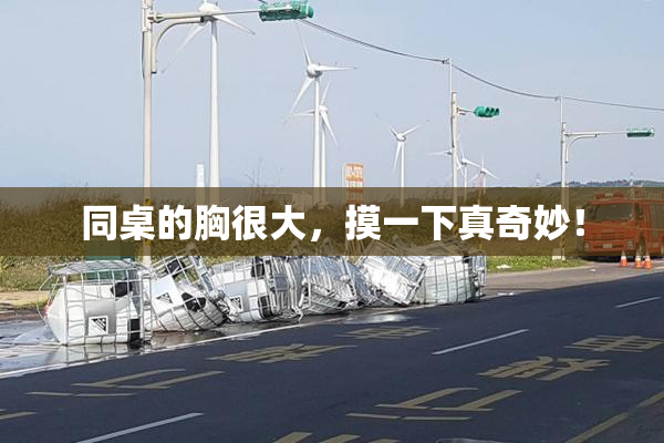 同桌的胸很大，摸一下真奇妙！