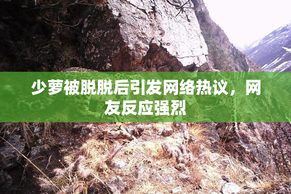 少萝被脱脱后引发网络热议，网友反应强烈