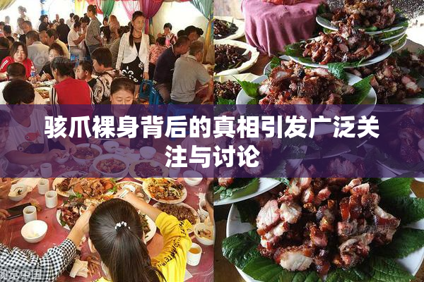 骇爪裸身背后的真相引发广泛关注与讨论