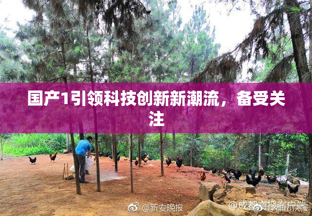 国产1引领科技创新新潮流，备受关注