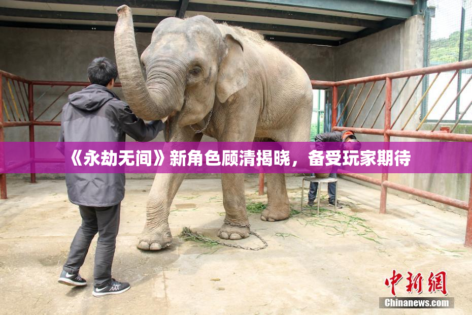 《永劫无间》新角色顾清揭晓，备受玩家期待