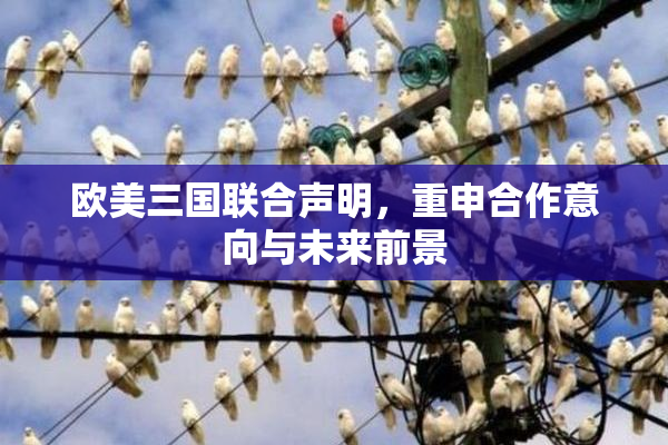 欧美三国联合声明，重申合作意向与未来前景