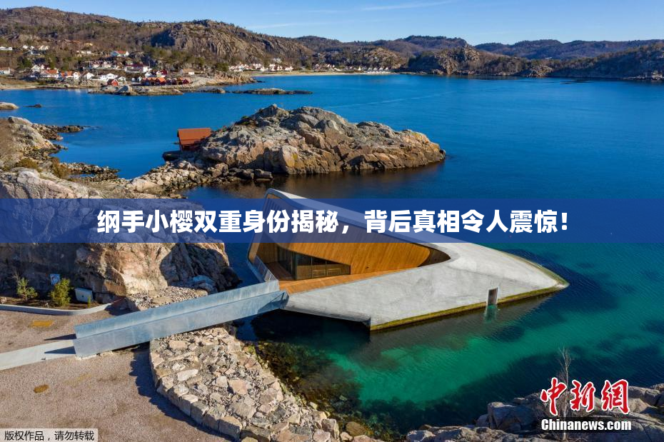 纲手小樱双重身份揭秘，背后真相令人震惊！