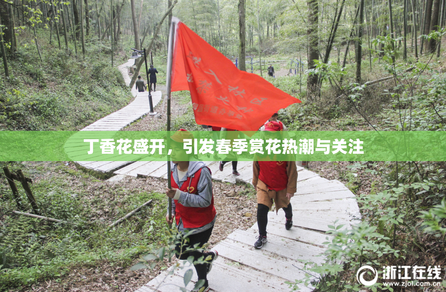 丁香花盛开，引发春季赏花热潮与关注