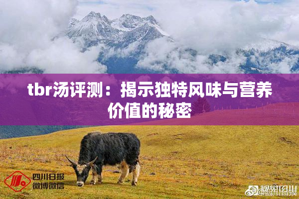 tbr汤评测：揭示独特风味与营养价值的秘密