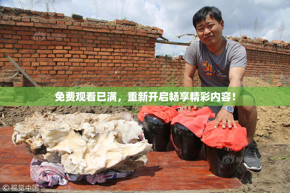 免费观看已满，重新开启畅享精彩内容！