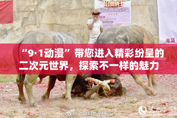 “9·1动漫”带您进入精彩纷呈的二次元世界，探索不一样的魅力
