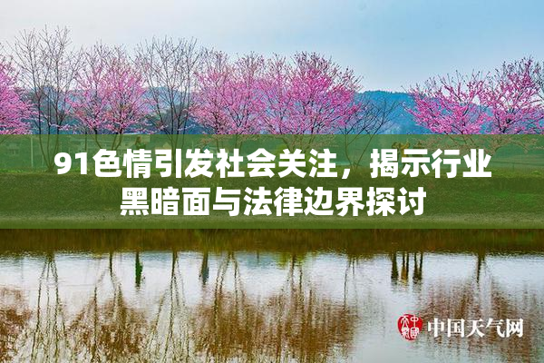 91色情引发社会关注，揭示行业黑暗面与法律边界探讨