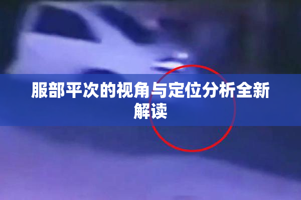 服部平次的视角与定位分析全新解读
