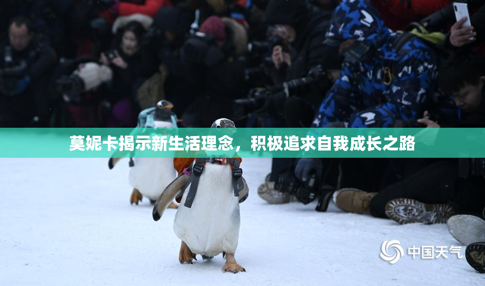 莫妮卡揭示新生活理念，积极追求自我成长之路