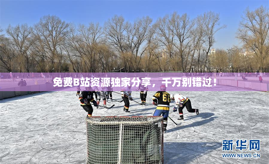 免费B站资源独家分享，千万别错过！
