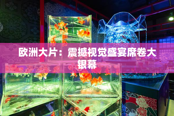 欧洲大片：震撼视觉盛宴席卷大银幕