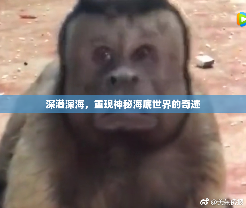 深潜深海，重现神秘海底世界的奇迹