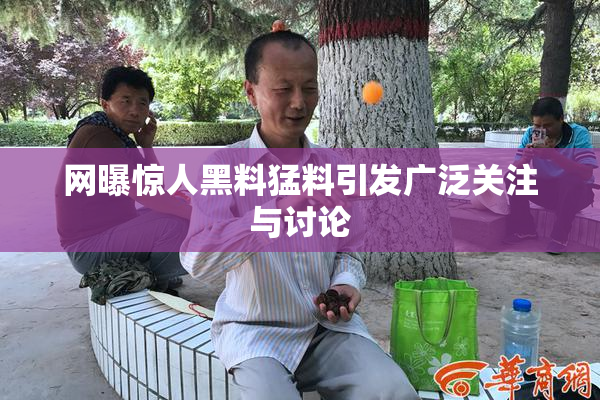 网曝惊人黑料猛料引发广泛关注与讨论