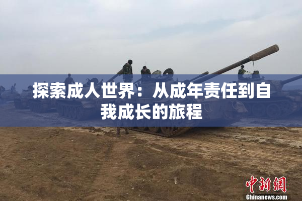探索成人世界：从成年责任到自我成长的旅程