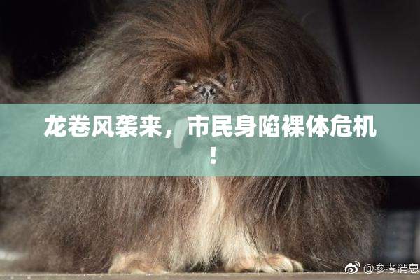 龙卷风袭来，市民身陷裸体危机！
