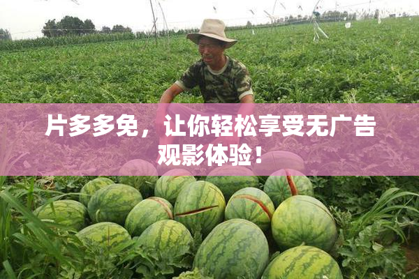 片多多免，让你轻松享受无广告观影体验！